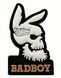 Патч-шеврон BAD BOY (8.5 &times; 5 см) з ефектом світіння у темряві 57457457754576 фото 1