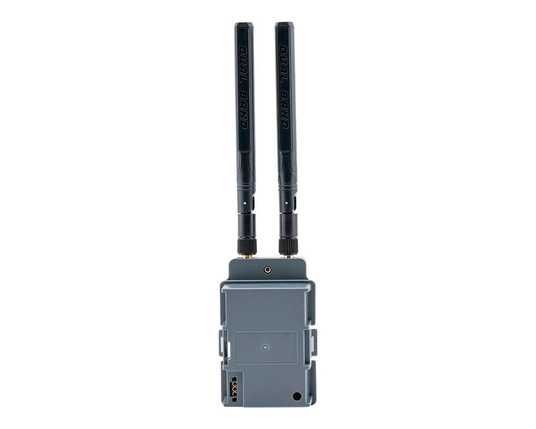 Купити Двохчастотний модуль Radiomaster Nomad Gemini Xrossband